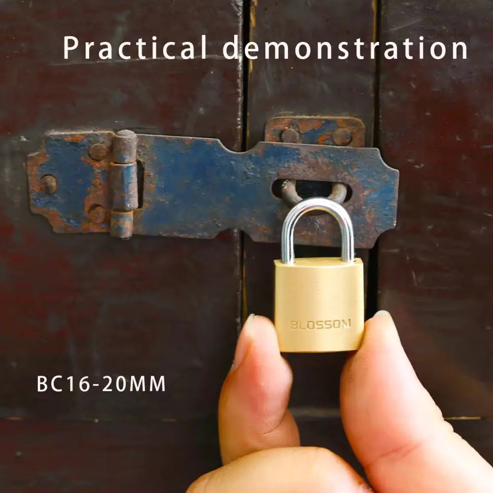 Brass Cylinder Security Padlock