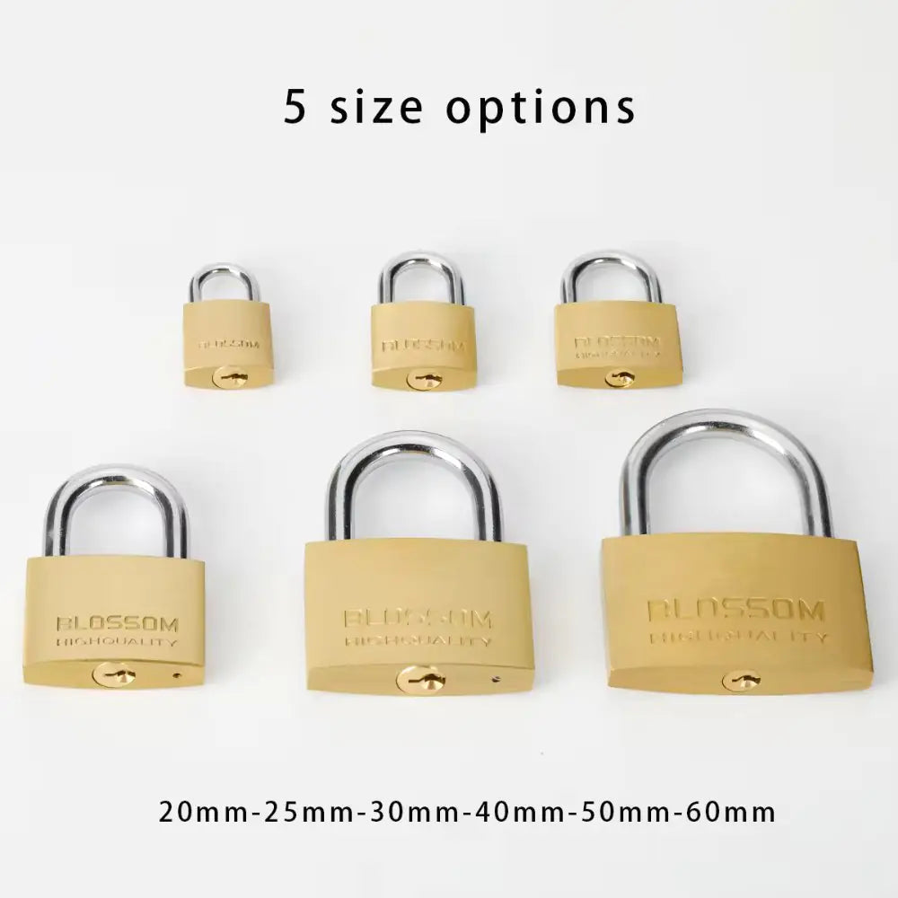 Brass Cylinder Security Padlock