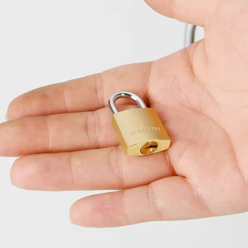 Brass Cylinder Security Padlock