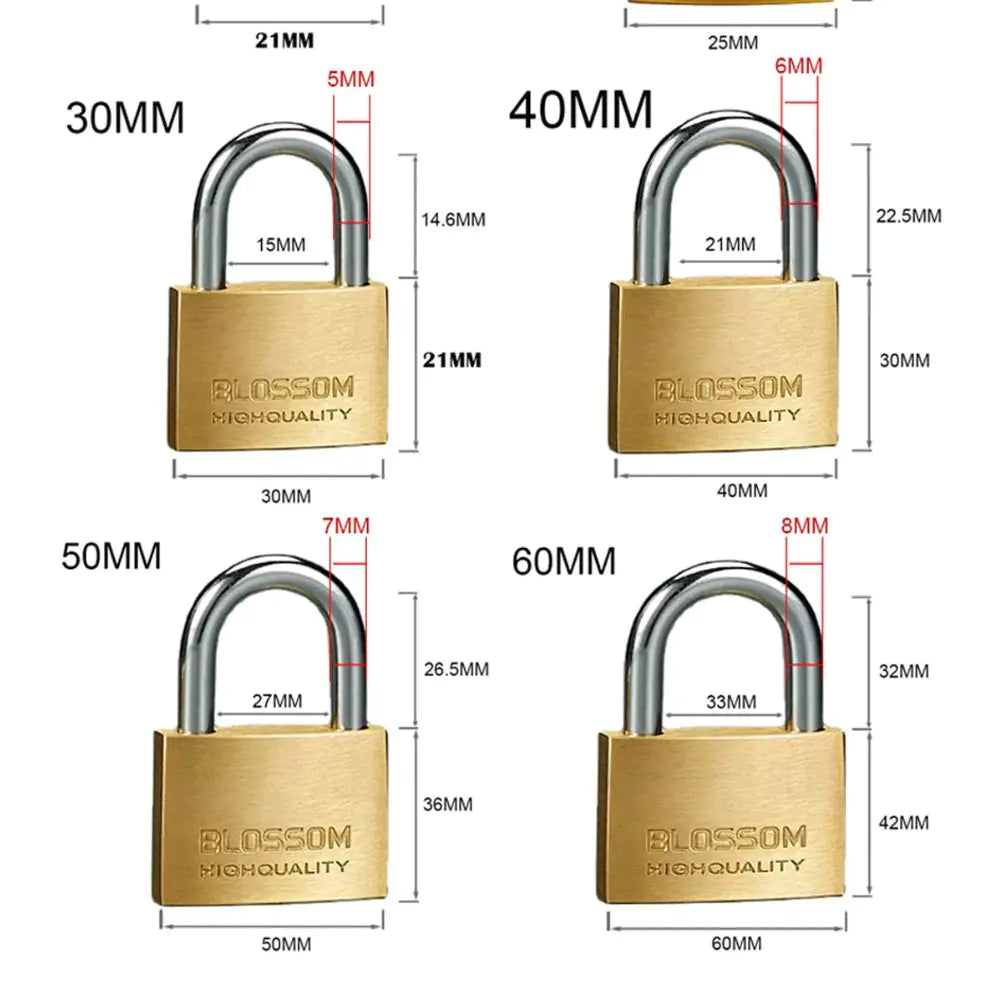 Brass Cylinder Security Padlock